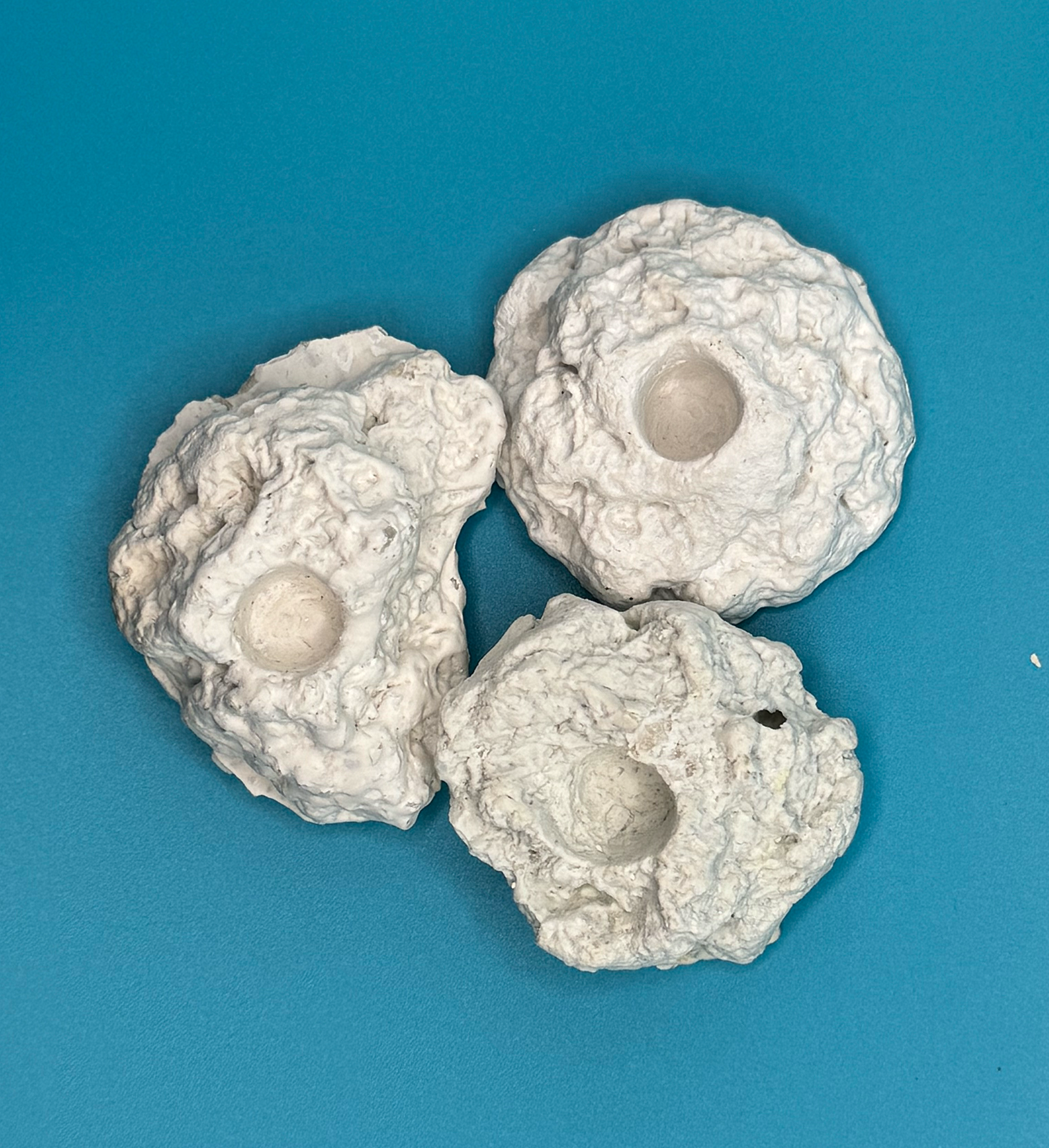 Korallen-Ablegerstein aus Riffkeramik, Größe {{size}}, geeignet für Meerwasseraquarien