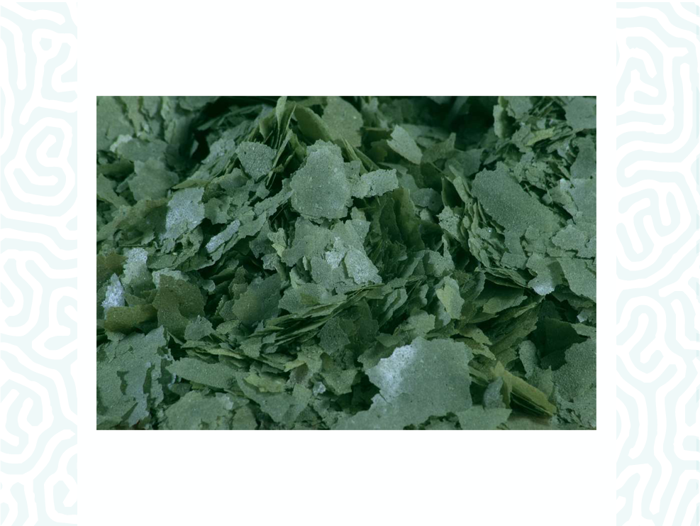 Spirulina Flockenfutter