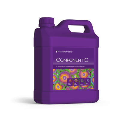 Component C 2000 ml