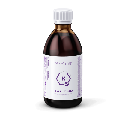 Kalium Lab 1 l