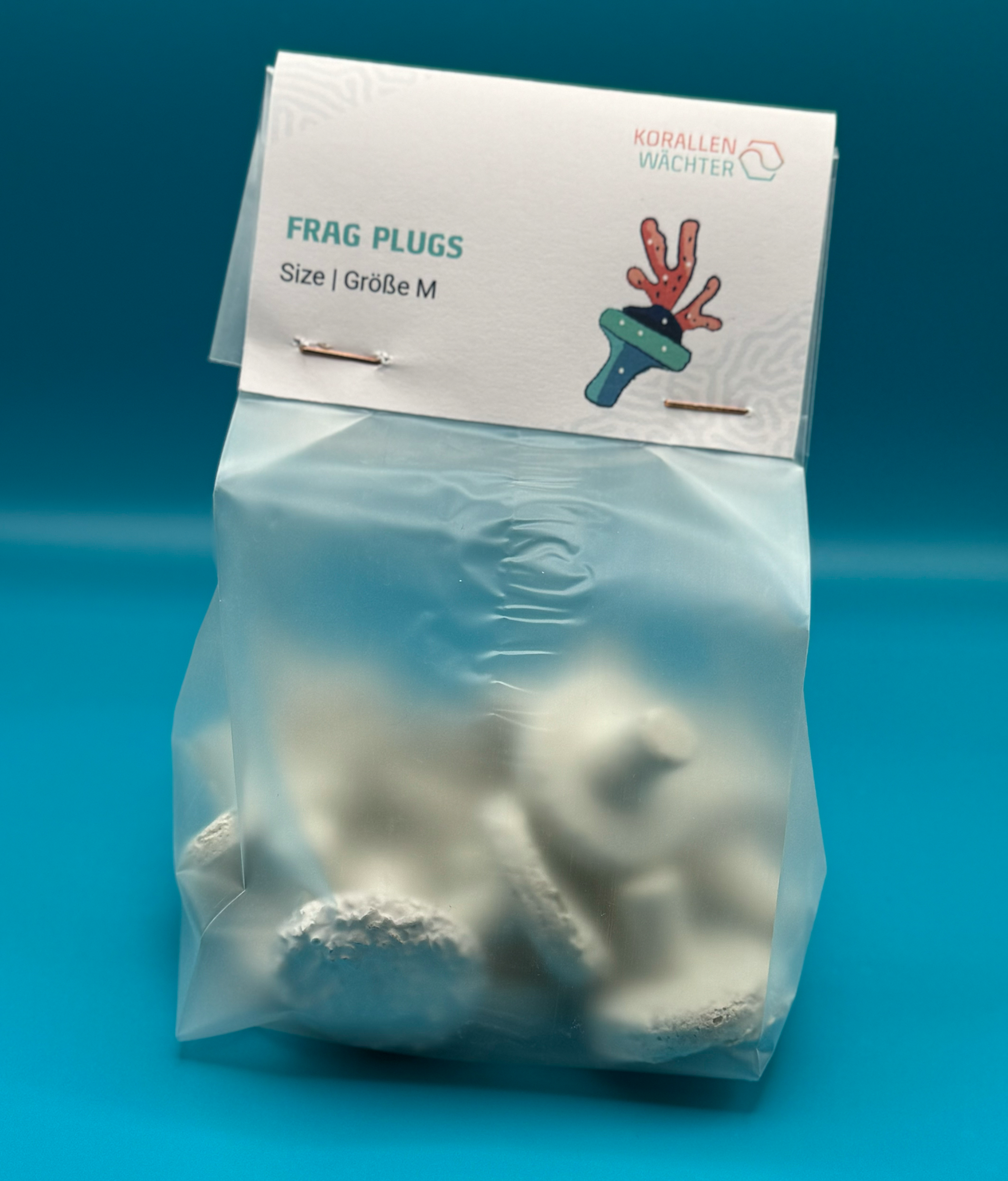 Frag Plugs, Korallen, M 