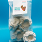 Korallennester - 10 Ablegersteine in Größe L